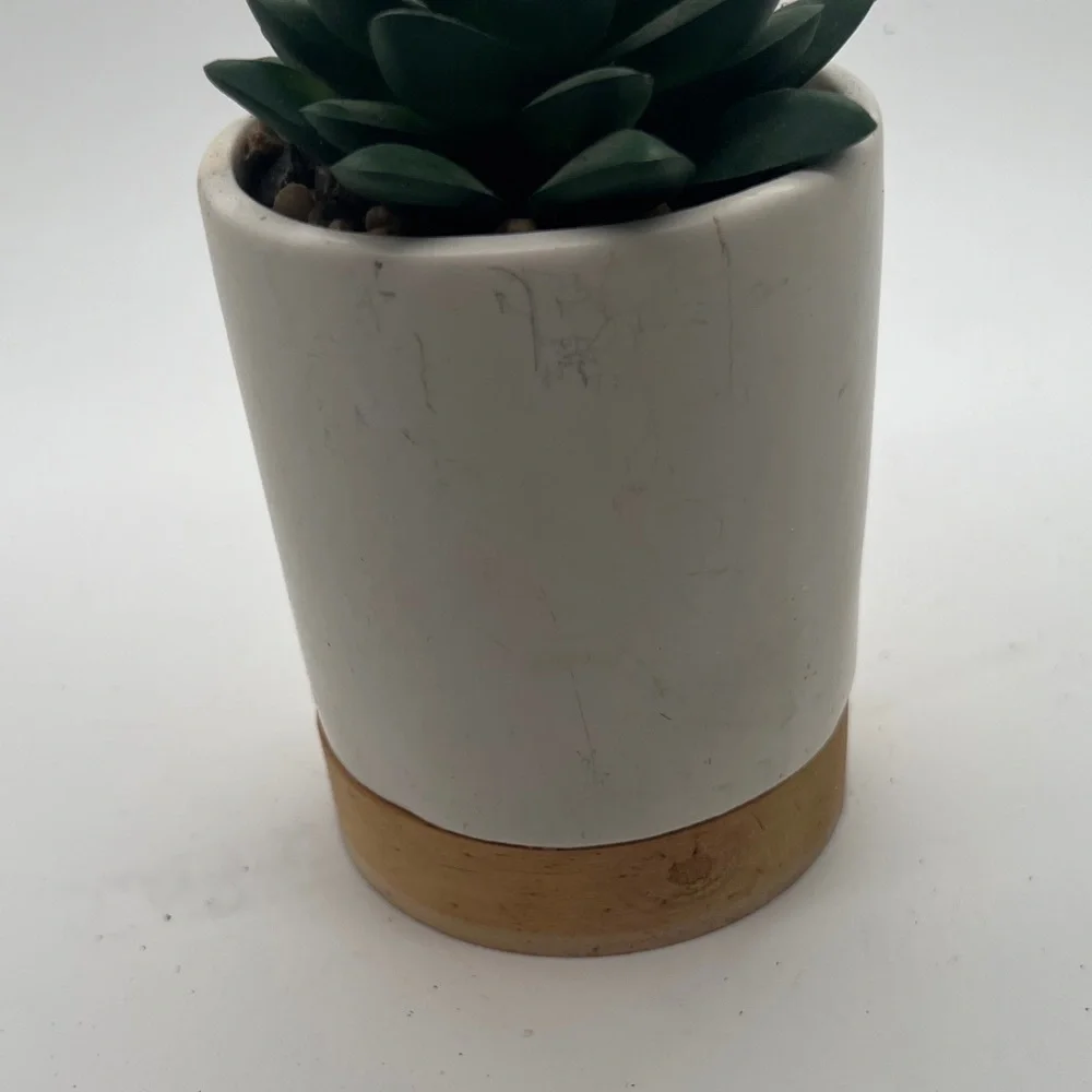 White and Tan Planter with Faux Succulent